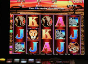 壹号168pg下载正式版